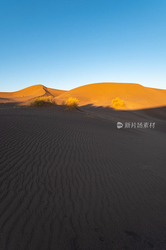 在伊朗沙漠