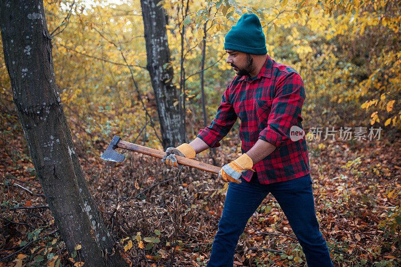 伐木工人用斧头砍树