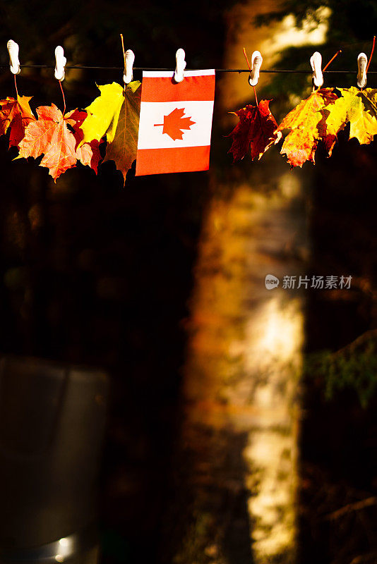 秋天，枫叶和加拿大国旗
