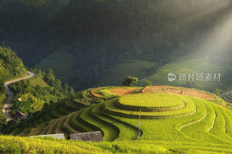 水稻梯田位于越南的木仓寨、颜白、山岭谷地。