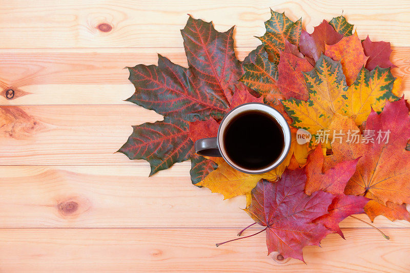 一杯咖啡和秋天的枫叶。选择性地关注杯子。