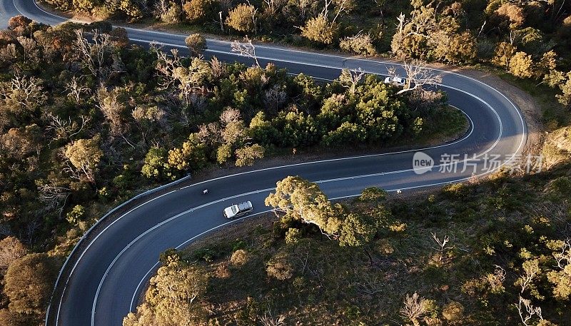 森林中蜿蜒道路