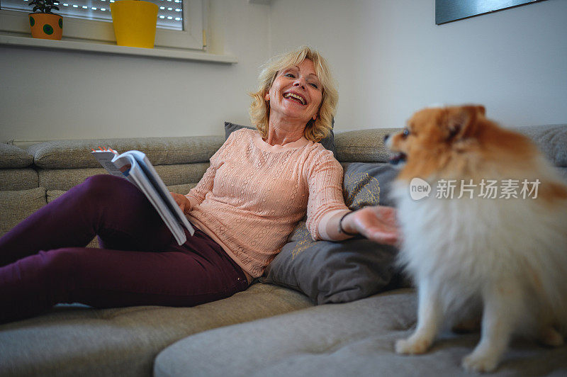 老妇人在沙发上看书，抱着一只狗