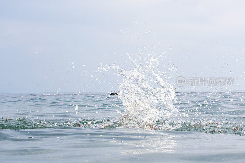 男孩夏天的乐趣在海上