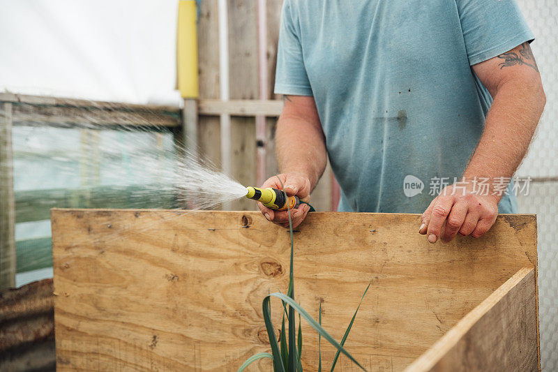 成熟的男人给植物浇水