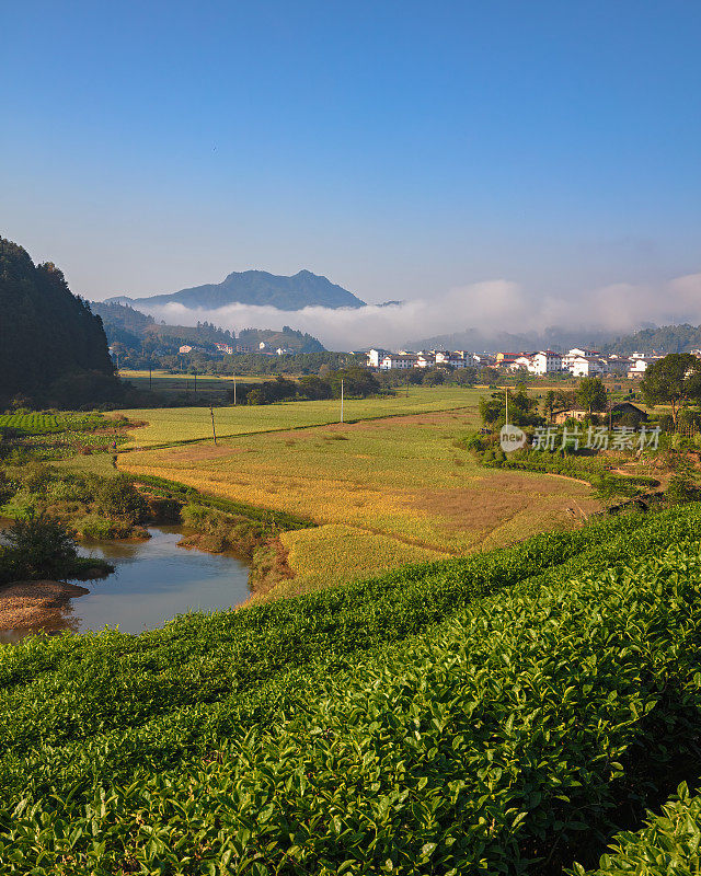 中国福建武夷山的村庄和农田。