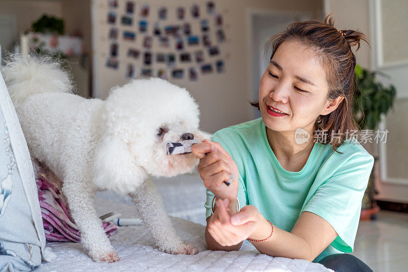 年轻的亚洲女性和她的宠物狗在家里