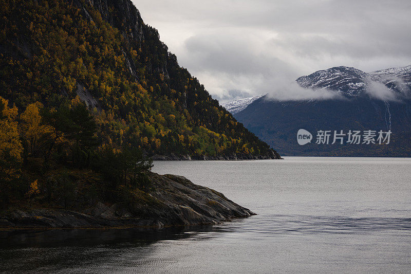 挪威峡湾的冬日气氛:树叶和阴天
