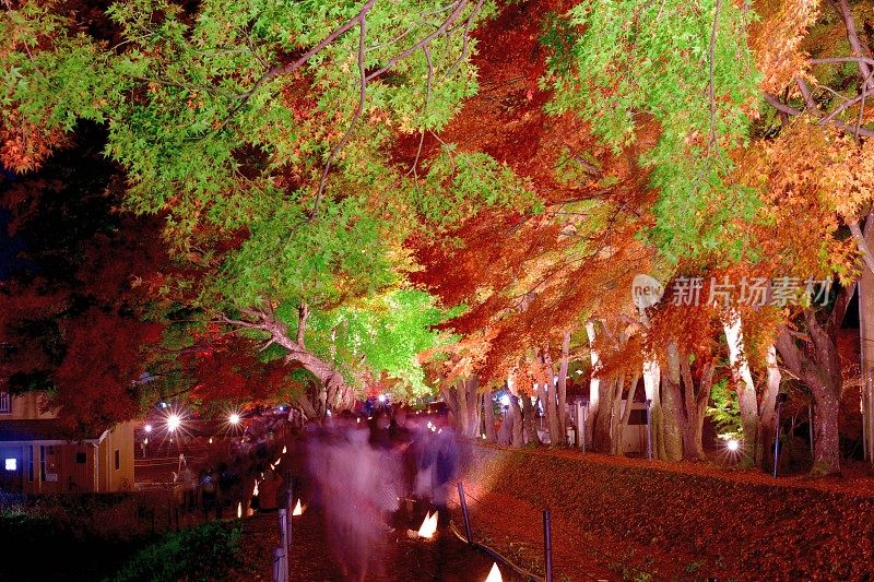 照亮富士五湖地区富士川口子秋叶色