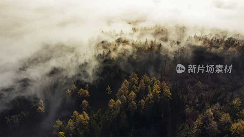 雾和阳光在秋季森林地区-陶努斯山脉。鸟瞰图