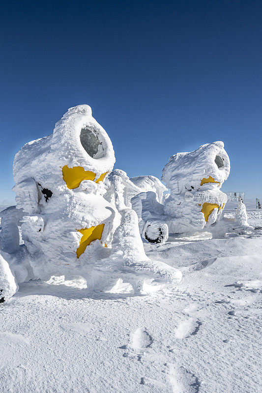 在令人惊叹的冬日里看到的雪机