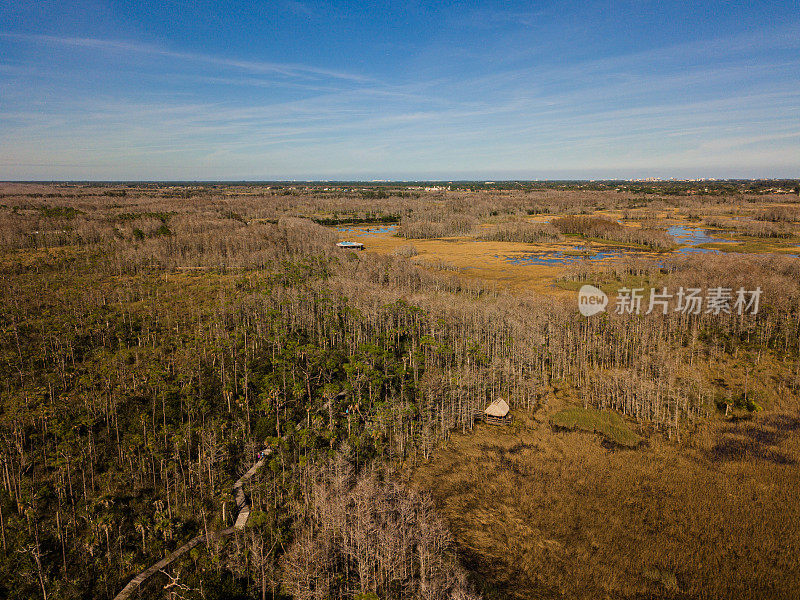 2021年2月，佛罗里达州西北湖，无人机拍摄的金树和绿水