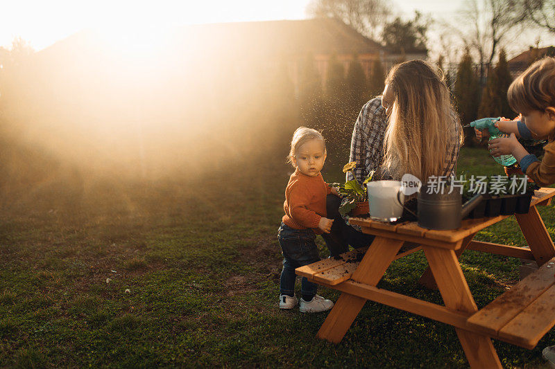 年轻的母亲和她的孩子们一起在花园里种花