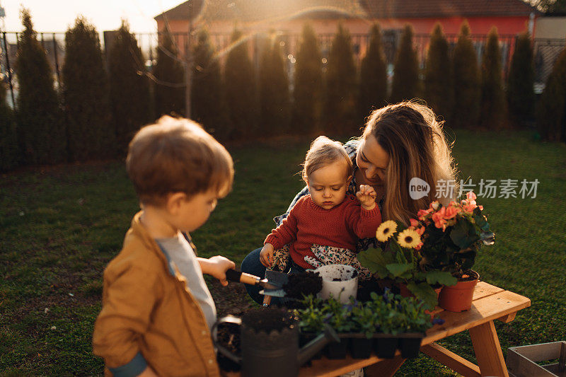 年轻的母亲和她的孩子们一起在花园里种花
