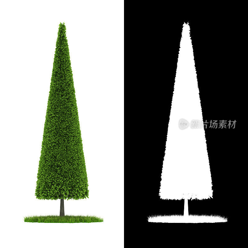 3D渲染锥体形状绿色灌木与圆形绿色草坪隔离在白色背景alpha通道