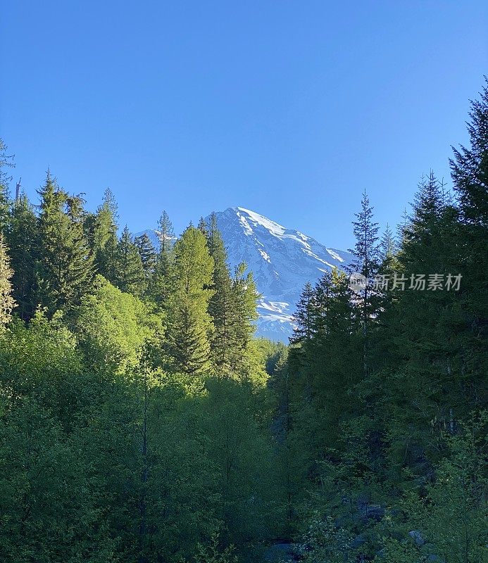 太平洋西北部山区景观