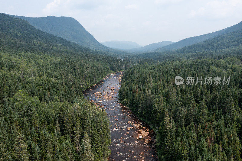 鸟瞰图的北方自然森林和河流在夏天，魁北克，加拿大