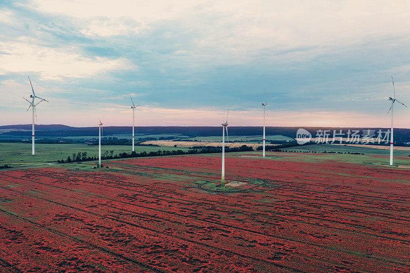 风力涡轮机和罂粟田的鸟瞰图