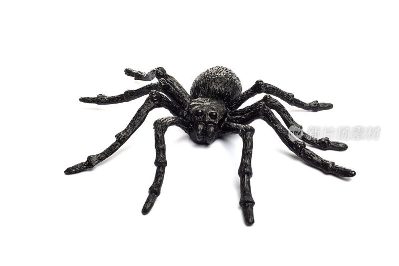 黑色橡胶蜘蛛玩具孤立在白色背景上。黑蜘蛛玩具。