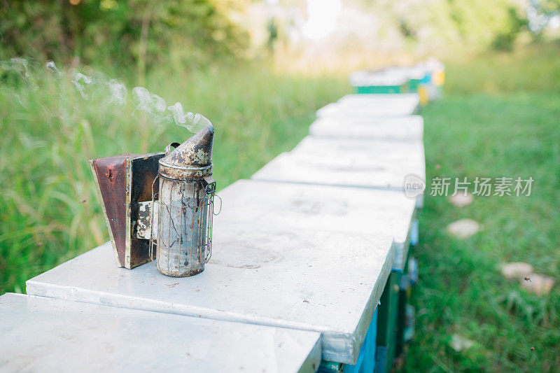 一排蜂箱上面还有一个吸蜂器