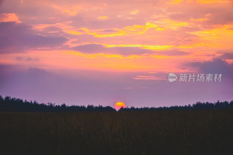 夕阳下的田野。