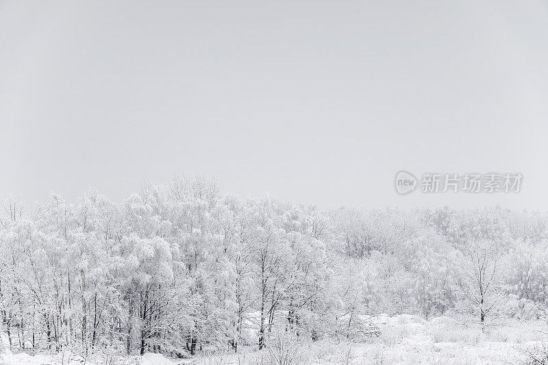 冬天的风景