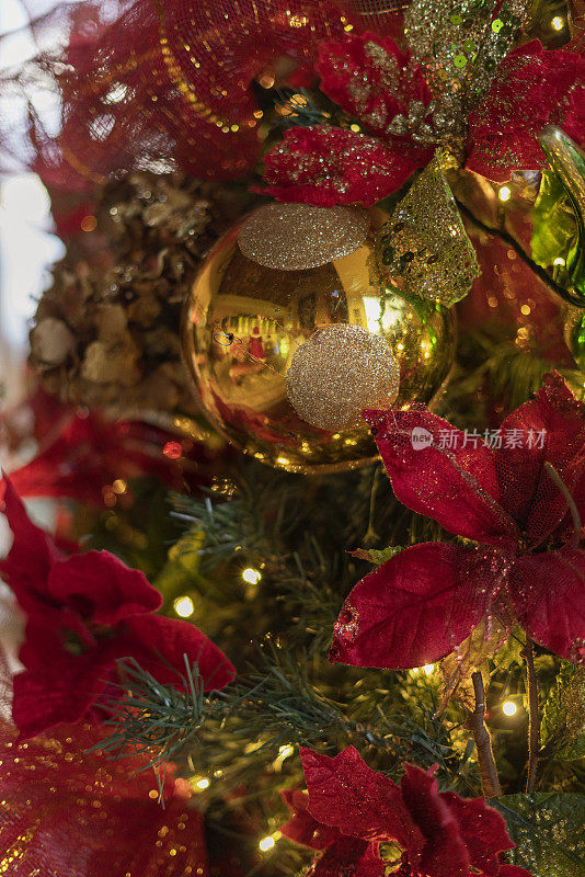 圣诞节装饰的一个房子的客厅