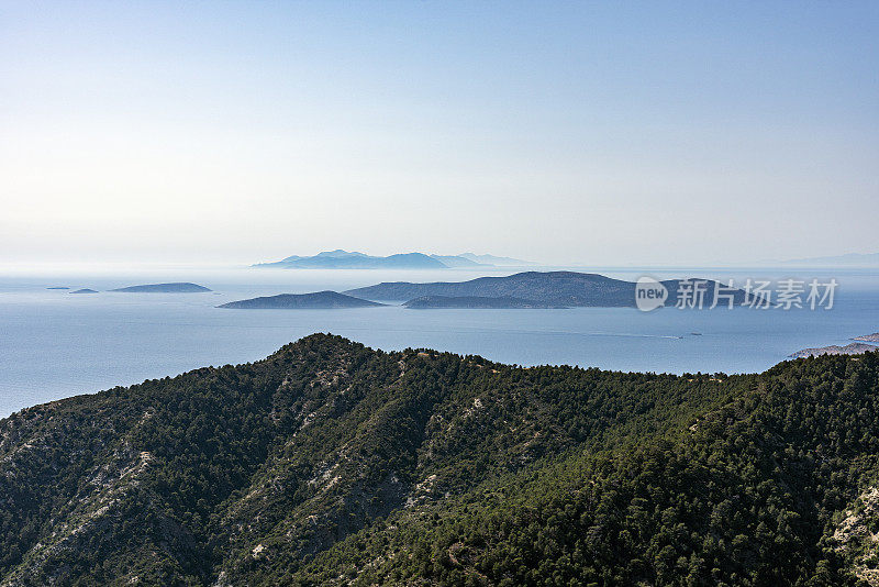 一棵松树，山，海和岛屿从罗德岛，希腊