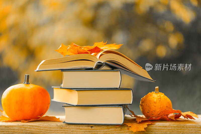 开始学校和大学季的概念。回到学校。秋天主题阅读。在阳光的照耀下，秋天的花园里摆满了书籍和南瓜。书以秋天为主题。万圣节的书
