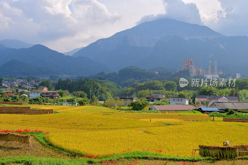 秋日的寺坂梯田，位于琦玉县秩父县