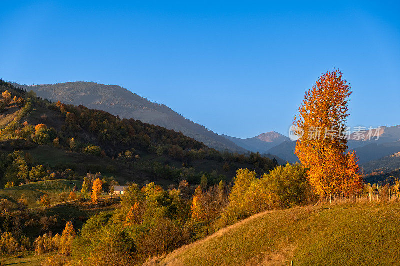 秋天的风景