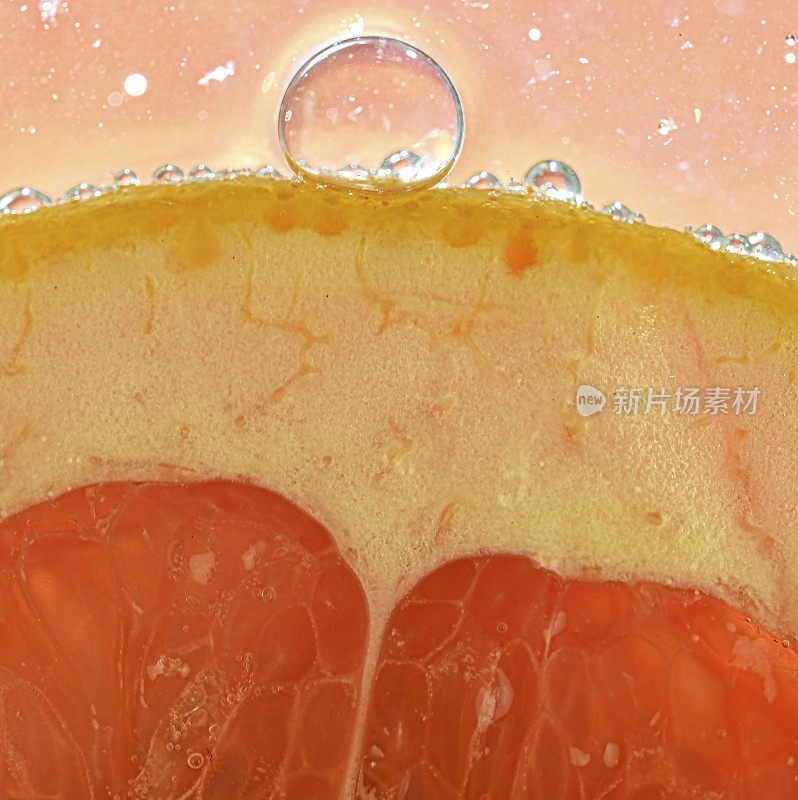 红色葡萄柚切片，白底水。柚子在有气泡的液体中的特写。将红熟葡萄柚切片放入水中。水果在水中的微距图像