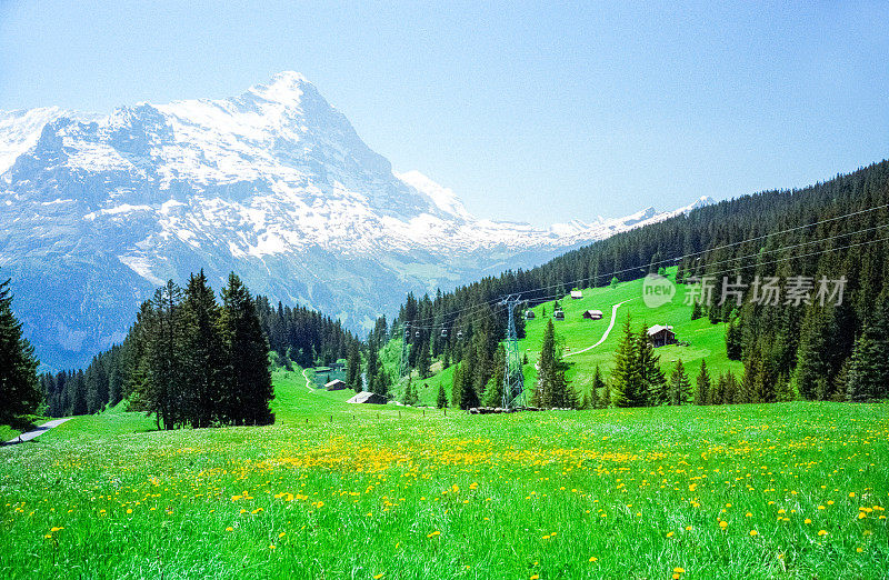 吉梅尔瓦尔德和瑞士阿尔卑斯山