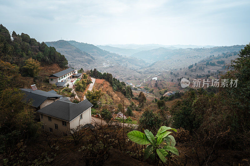 在清晨的山上