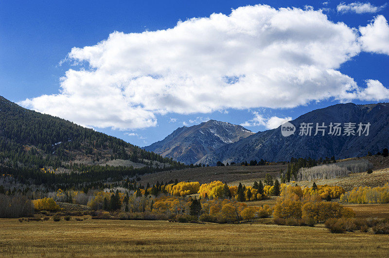 内华达山脉的广阔景观和秋天的色彩