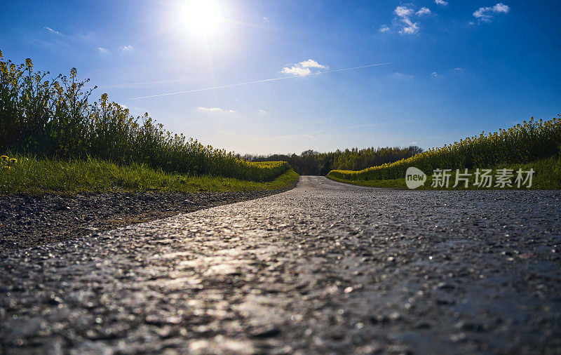 穿过油菜地的道路