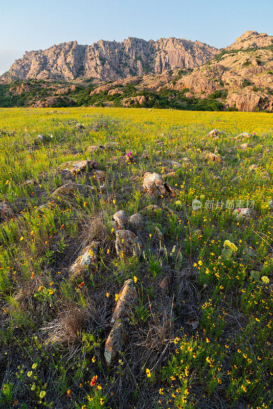 野花和麋鹿山，威奇托山脉，OK