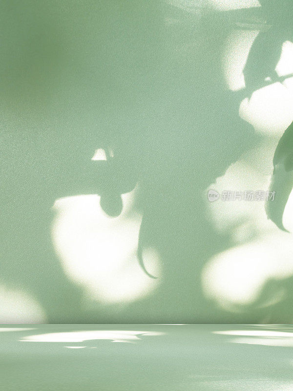 绿色工作室产品自然阴影墙3d抽象叶子平台最小覆盖树场景展示地板裙台纹理优雅的壁纸基座生态背景阁楼模拟厨房桌子模板。