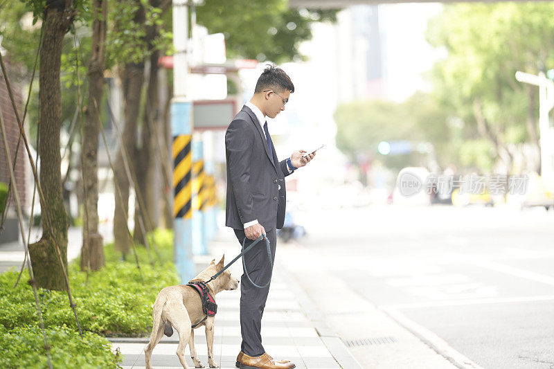 带宠物旅行。和宠物一起散步、上下班和购物