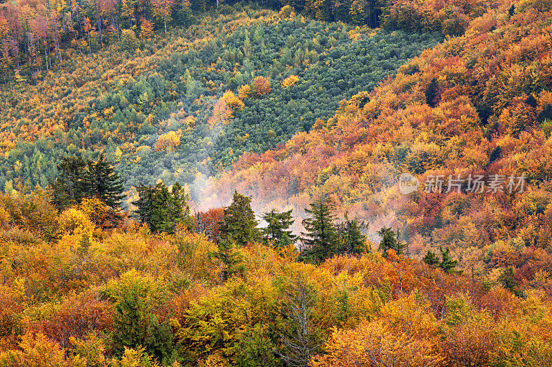 秋天的景色——群山覆盖着森林，晨雾缭绕