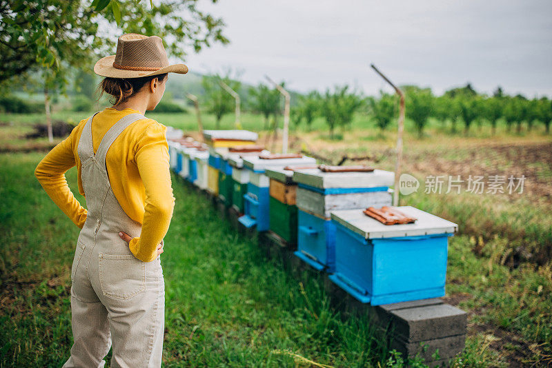 一位养蜂人站在田野里充满活力的蓝色蜂箱旁