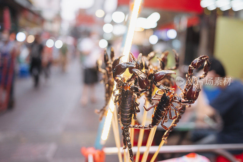 异国街头小吃油炸昆虫蚱蜢蝎子毛毛虫在泰国曼谷