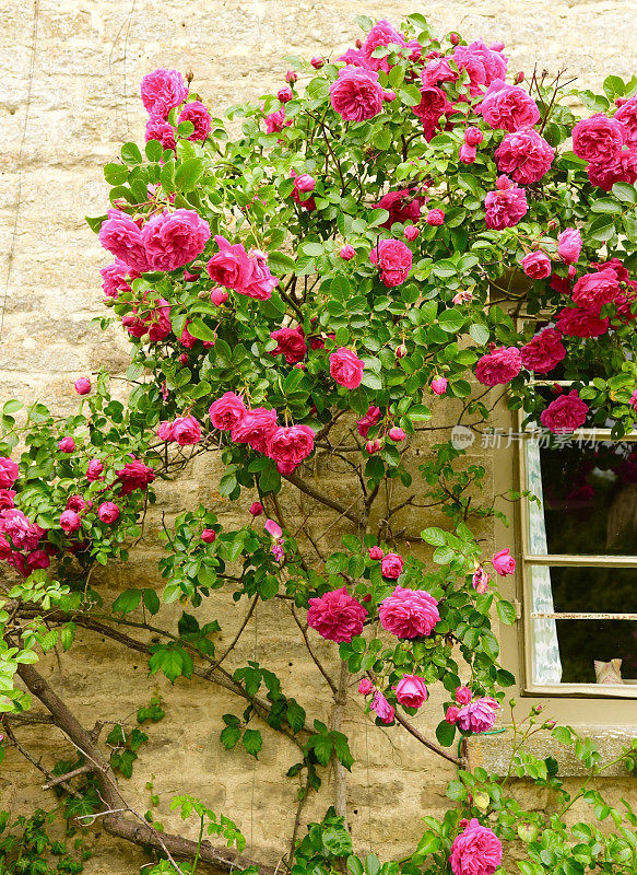 Bibury,英格兰