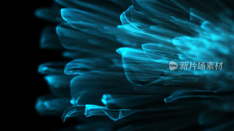 蓝色的抽象花朵，3DCG波浪背景