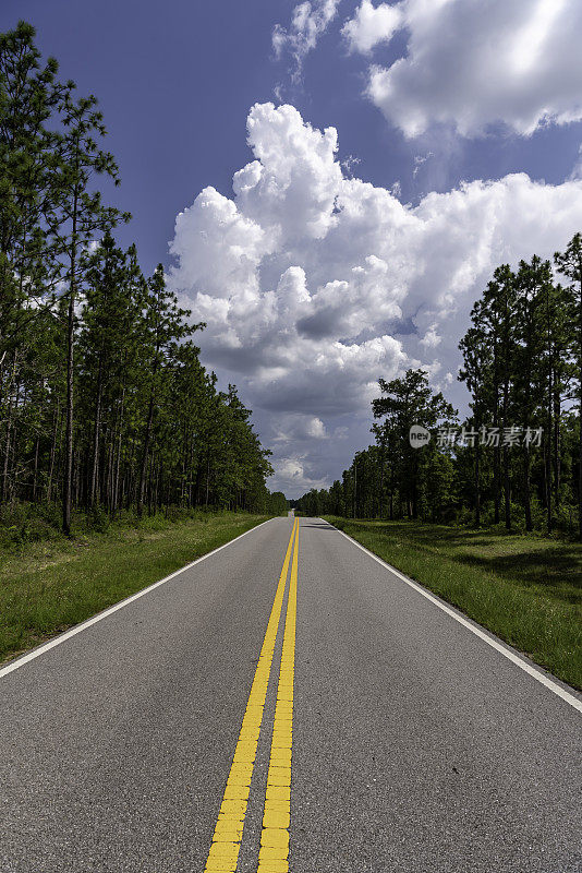 宽阔的视野下直铺道路在丘陵松林与蓝天白云和坚实的双黄线中心