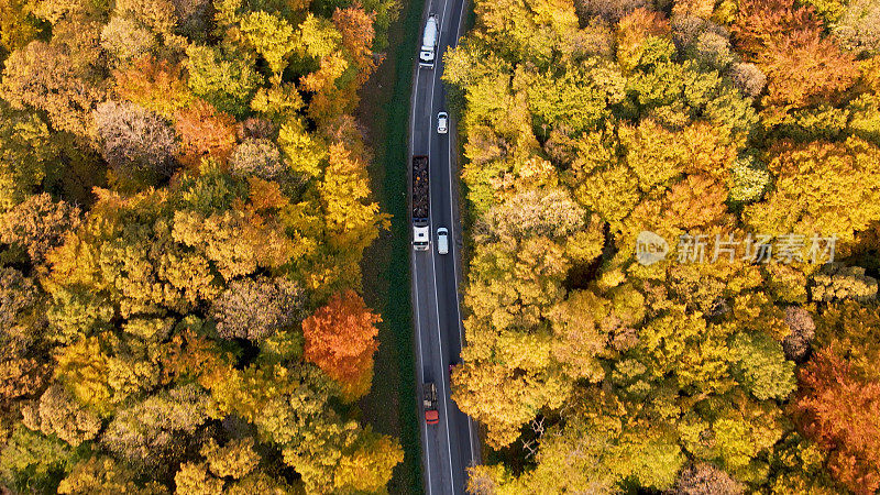 森林旁繁忙的道路