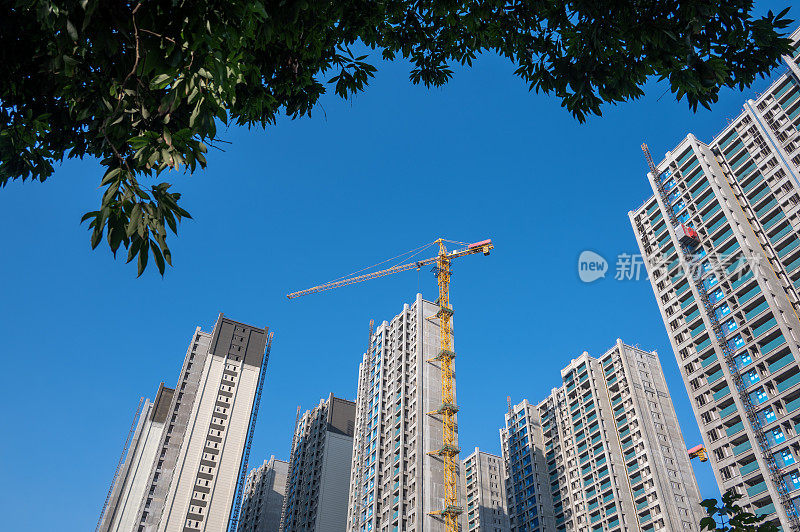 未完成的城市建筑和蓝天下的树荫