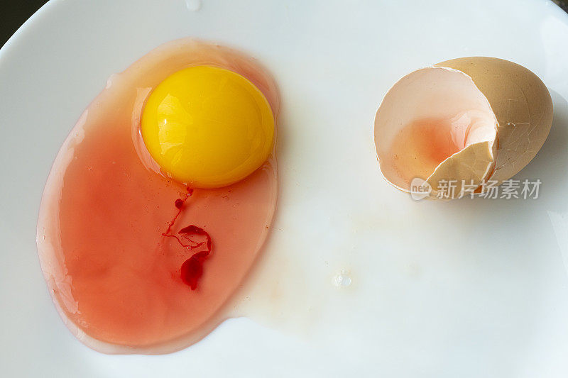 鸡蛋上的铜绿假单胞菌-不可食用鸡蛋