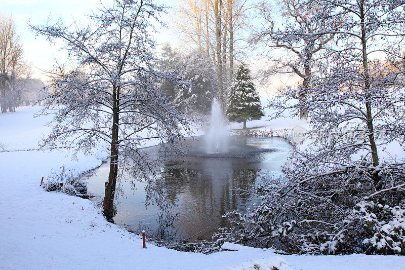 池塘和树上的雪