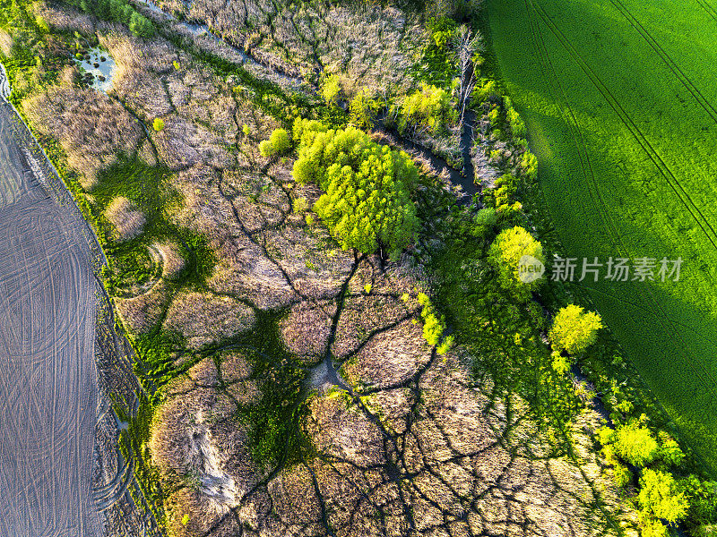 航拍无人机拍摄的绿色田野里蜿蜒的河流。鸟瞰郁郁葱葱的湿地